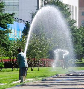 Repairing commercial sprinkler system at an office park in Toronto